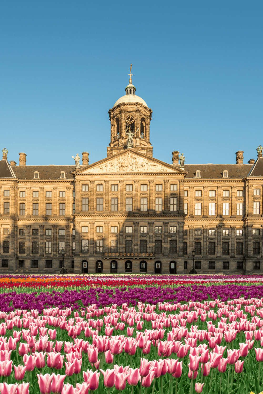Colorful tulip garden in front of historic Quest for Directions city hall building.