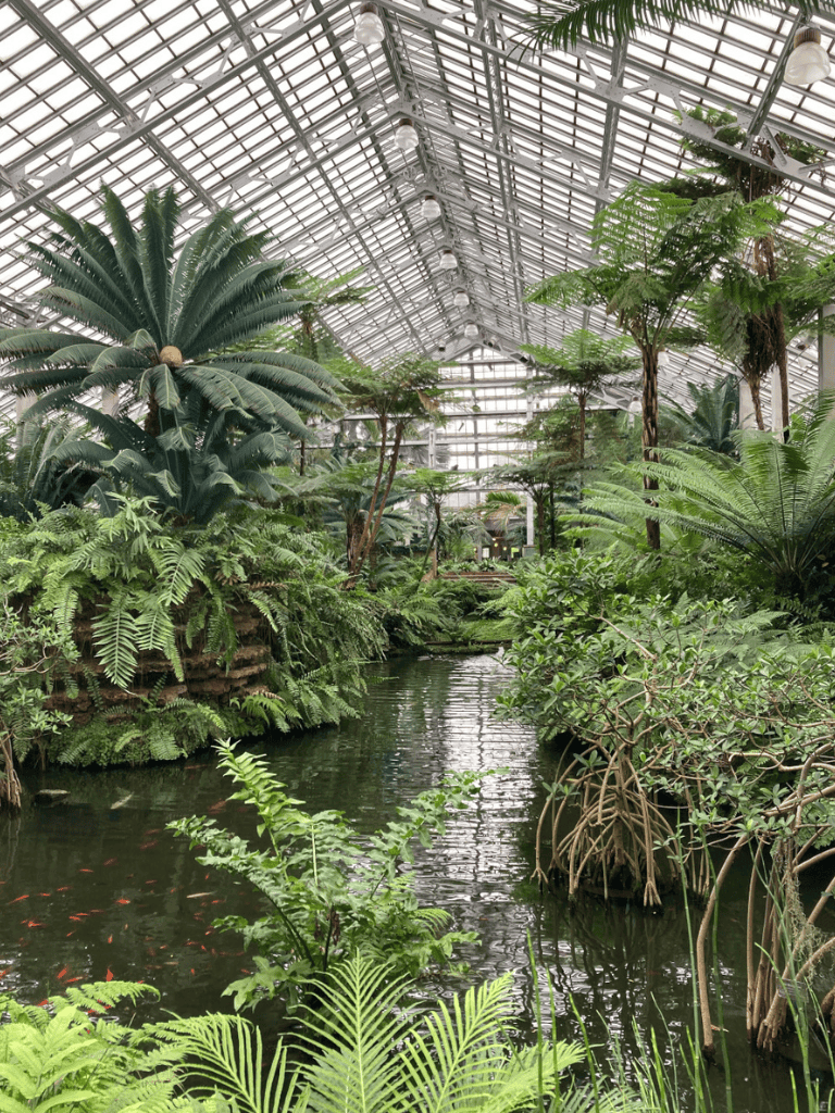 Lush indoor botanical garden featuring tropical plants and a tranquil water stream, under glass roof.