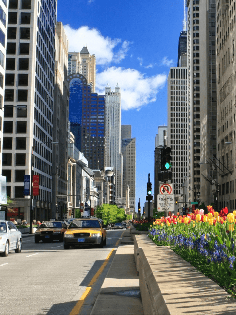 Bright city street with skyscrapers, flowers, and taxis in downtown urban landscape.