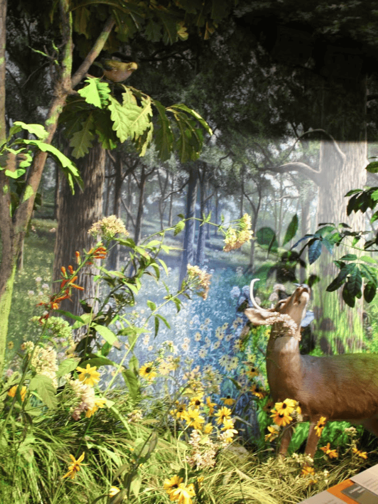 Vibrant nature scene with deer, trees, and colorful flowers at QuestForDirections.