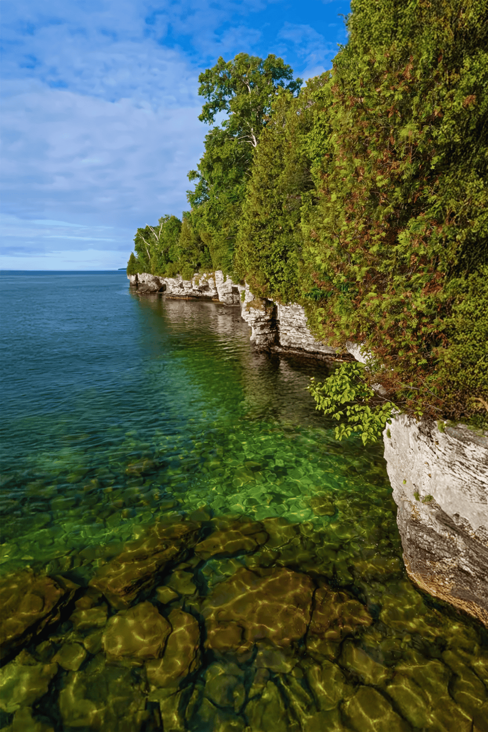 Serene lakeside cliffs surrounded by lush green trees along clear water with aquatic plants.