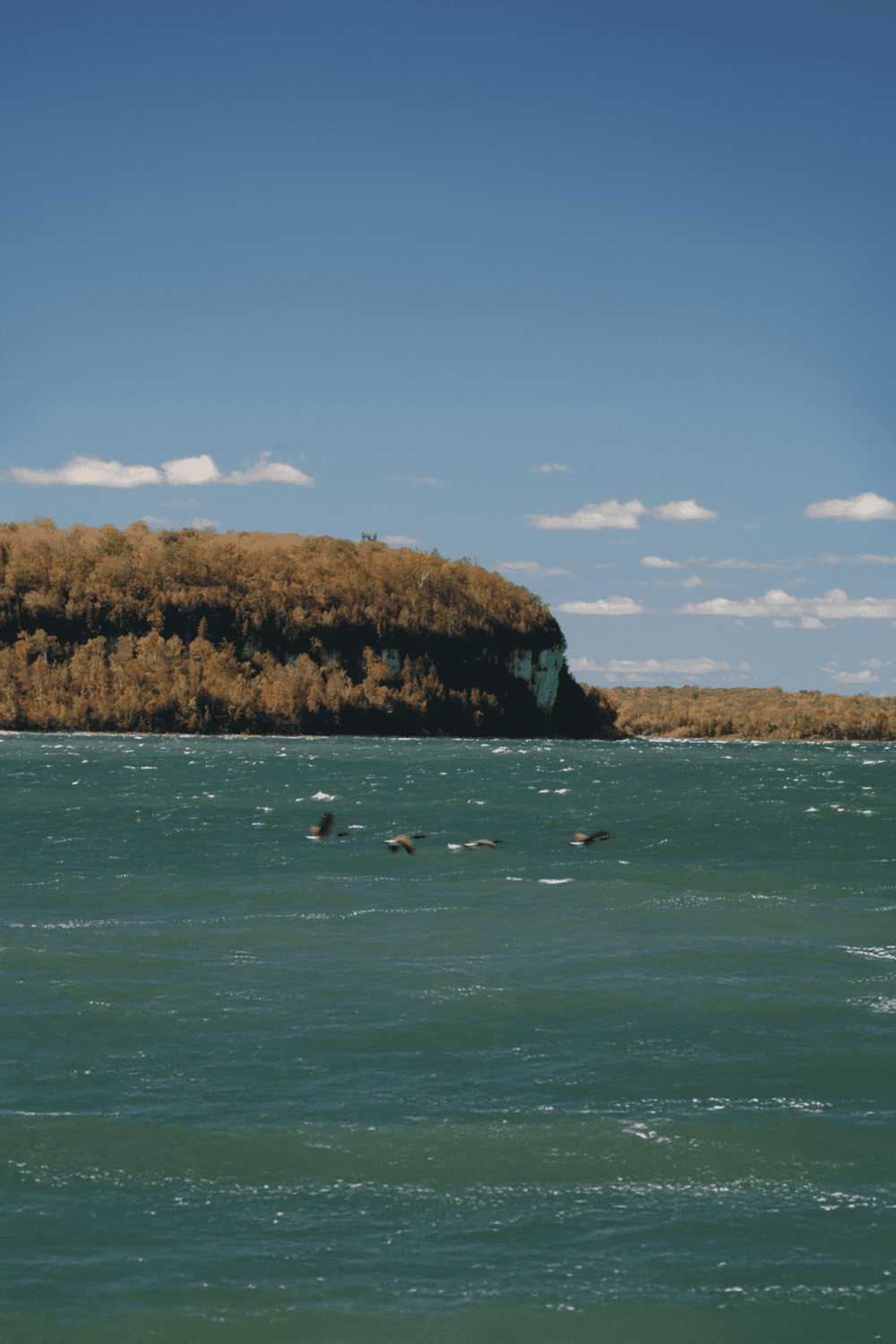 Cliffside overlooking water with birds and blue sky, scenic coastal landscape.