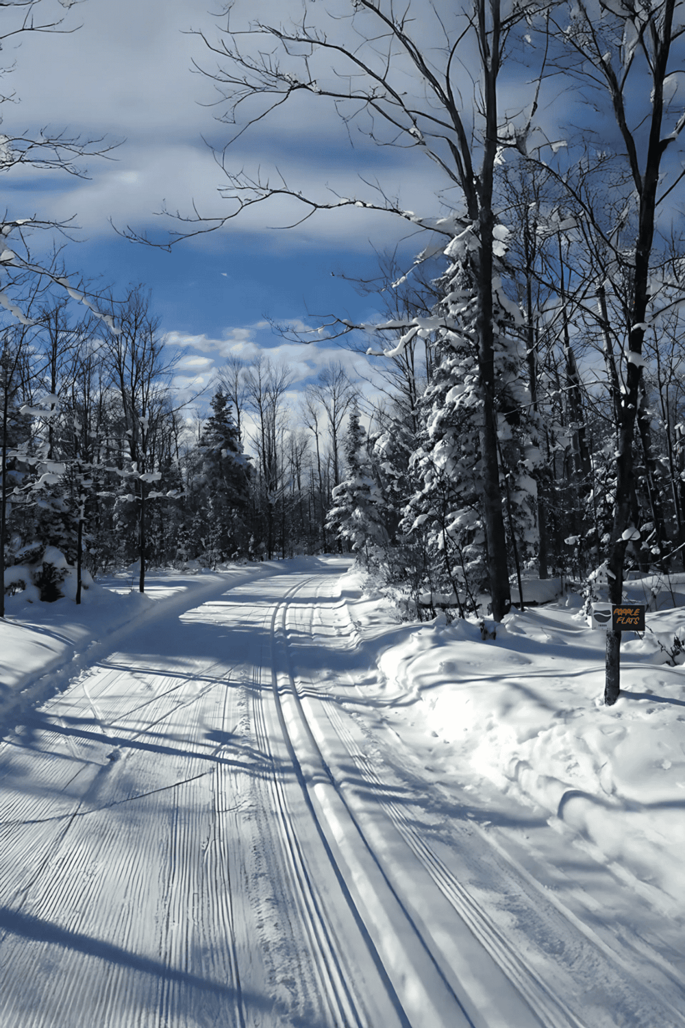 Snow-covered scenic trail in winter forest with cross-country ski tracks.