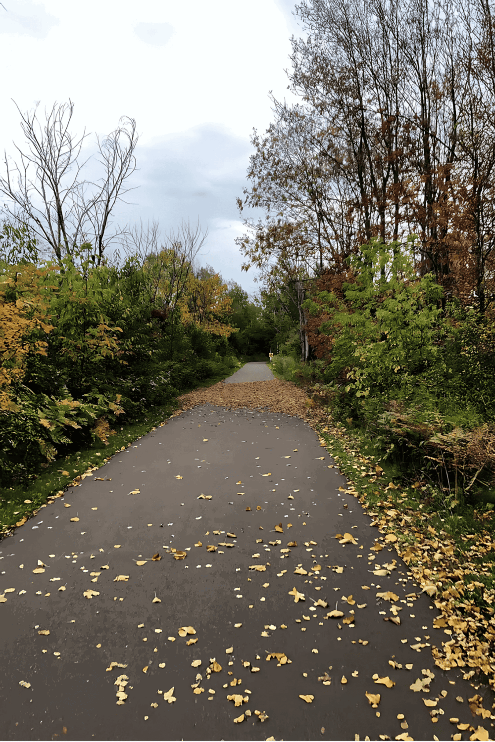 Autumn park pathway with colorful leaves and trees, scenic nature trail for outdoor exploration.