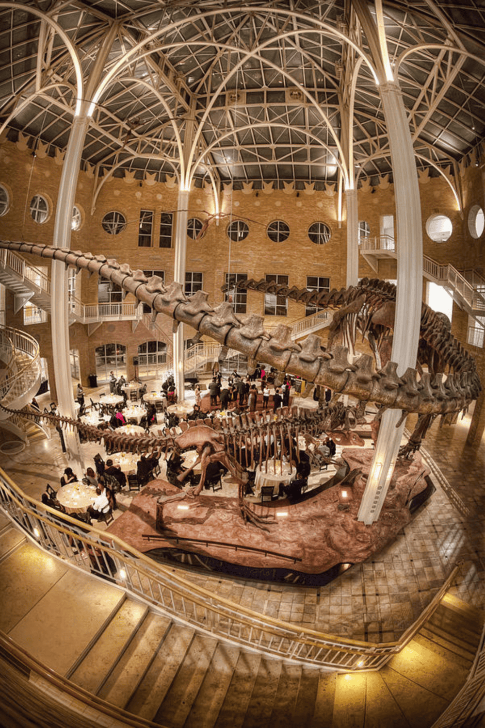 Majestic dinosaur skeleton display in a grand, elegant interior with dining tables and intricate architecture.