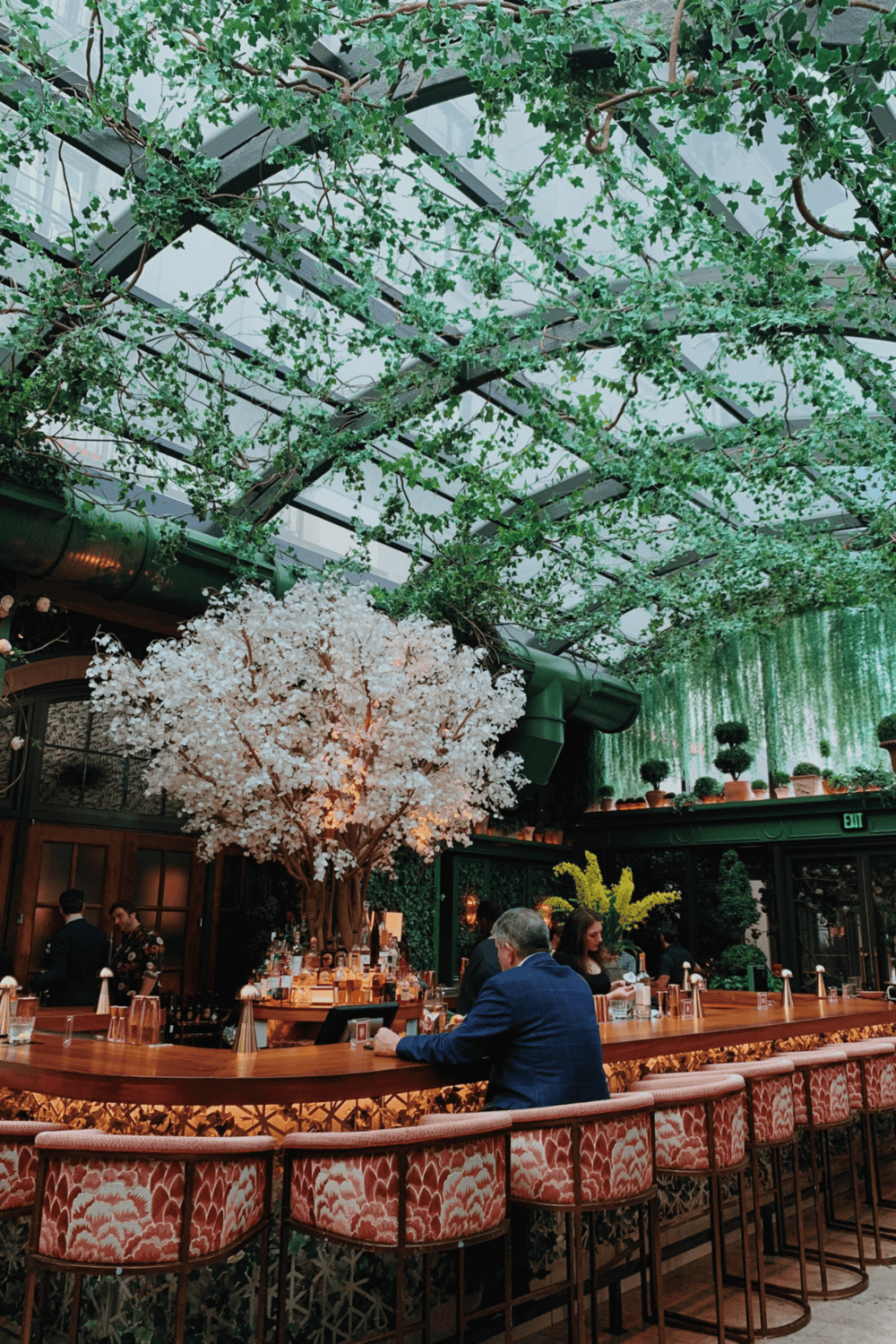 Elegant indoor bar with lush greenery and modern decor, perfect for socializing and cocktails.