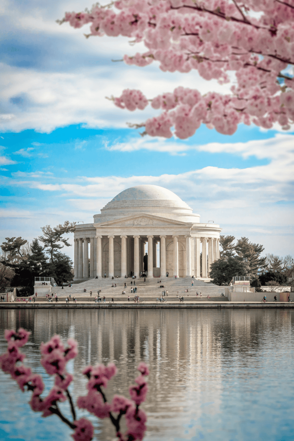 White House Jefferson Memorial with cherry blossoms in Washington DC, springtime attractions, scenic views, and iconic landmarks.