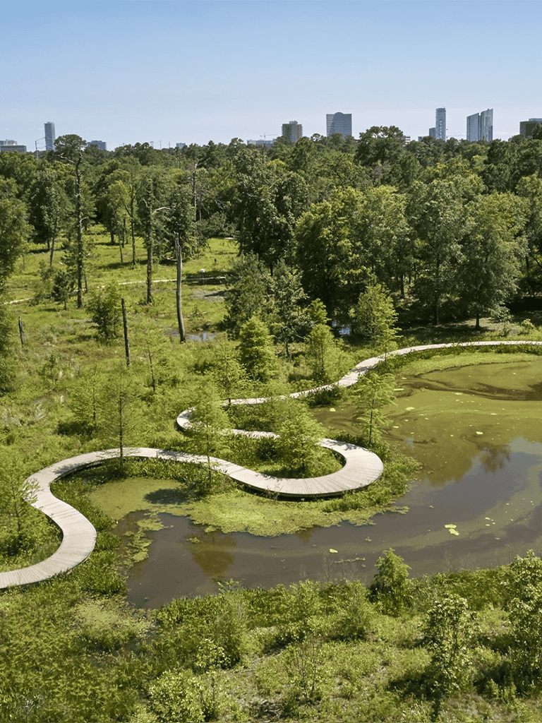 Serene park with winding wooden walkway and pond in urban green space.