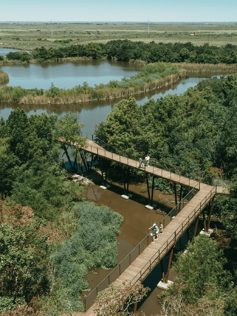 Elevated wooden bridge over lush green wetlands and water bodies in natural landscape.