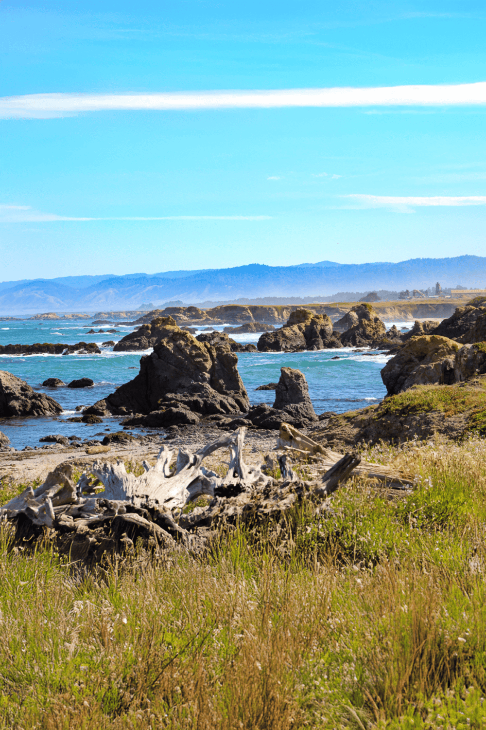 1. Coastline with rocky cliffs and driftwood, scenic ocean views, California beach landscape.