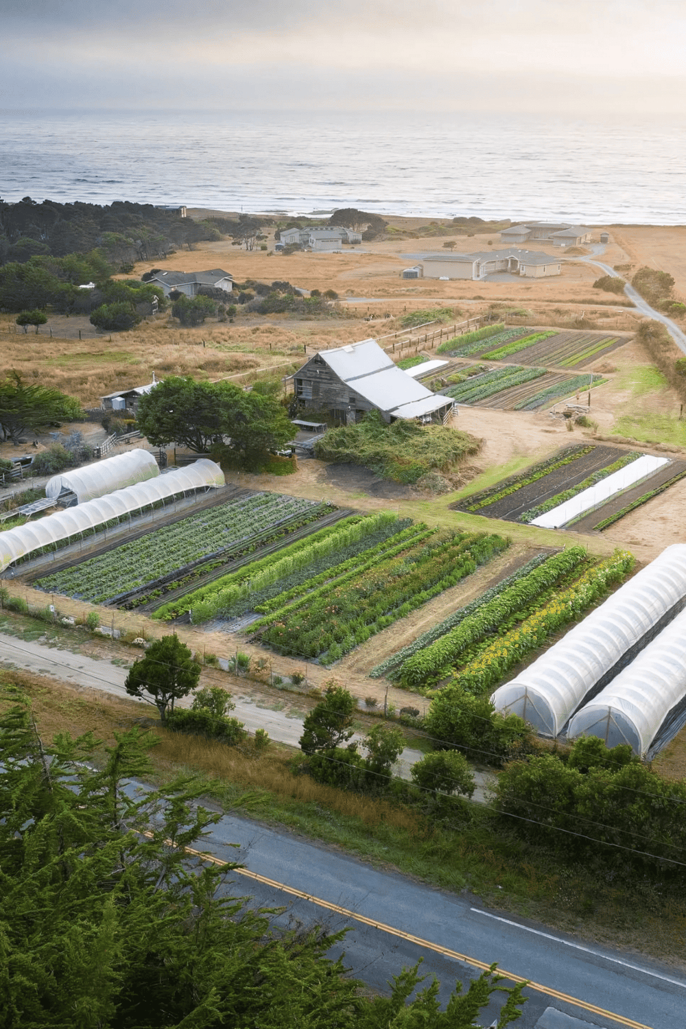 Vineyard and farm fields near the coast, scenic rural landscape, agricultural touring destination, QuestForDirections.