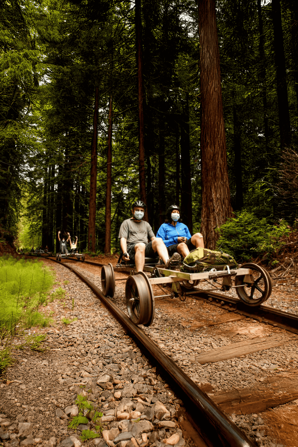 All-terrain tricycle adventure in lush forest for outdoor enthusiasts and eco-travelers.