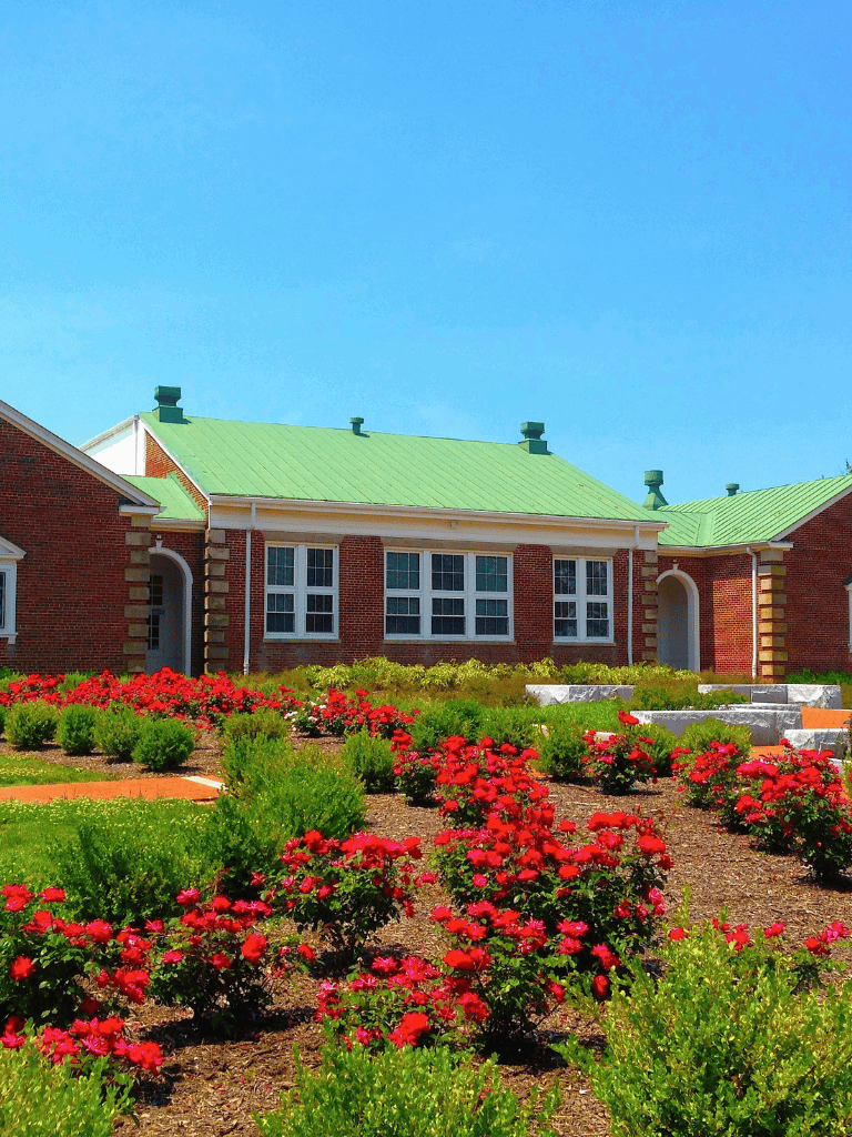 Bright red roses and lush greenery in front of a charming brick house with a green metal roof, exemplifying beautiful landscaping and architecture.