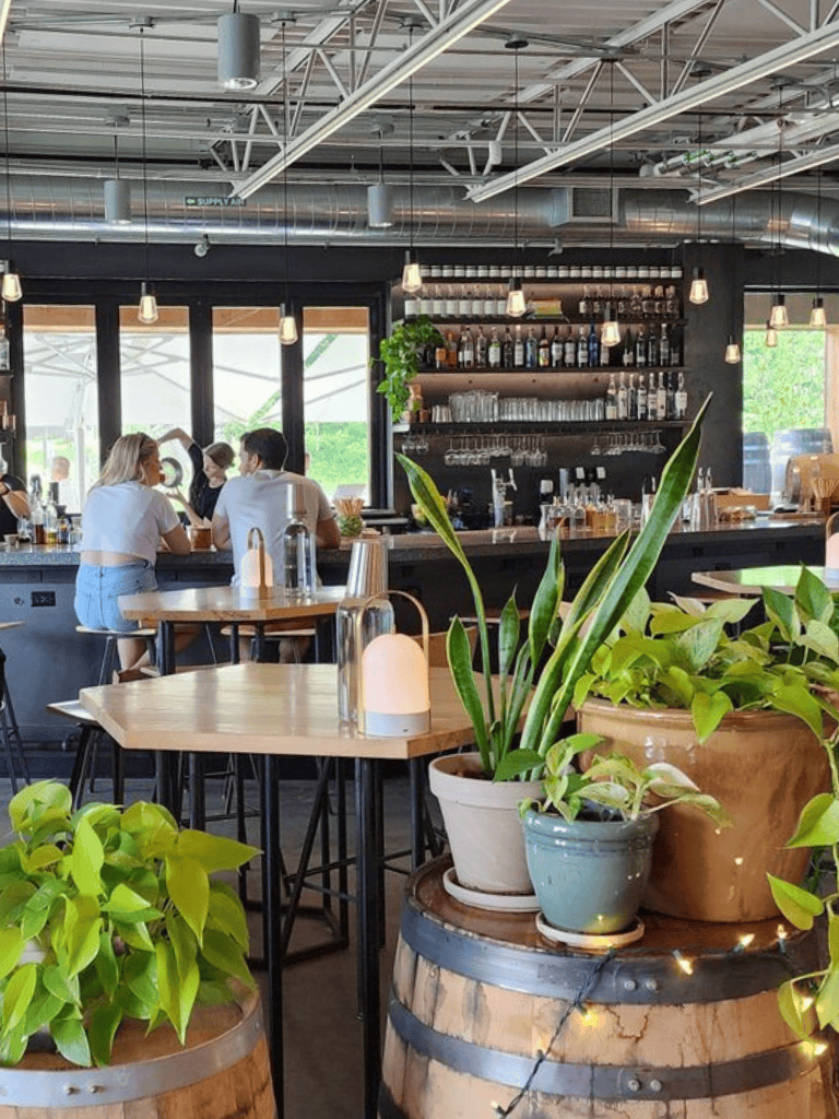 Bright modern cafe interior with plants, open bar and customers enjoying drinks and conversation.