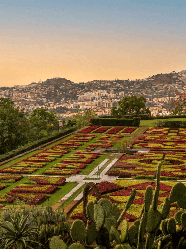 Vibrant botanical garden with city skyline in the background, showcasing lush greenery and colorful flower arrangements.