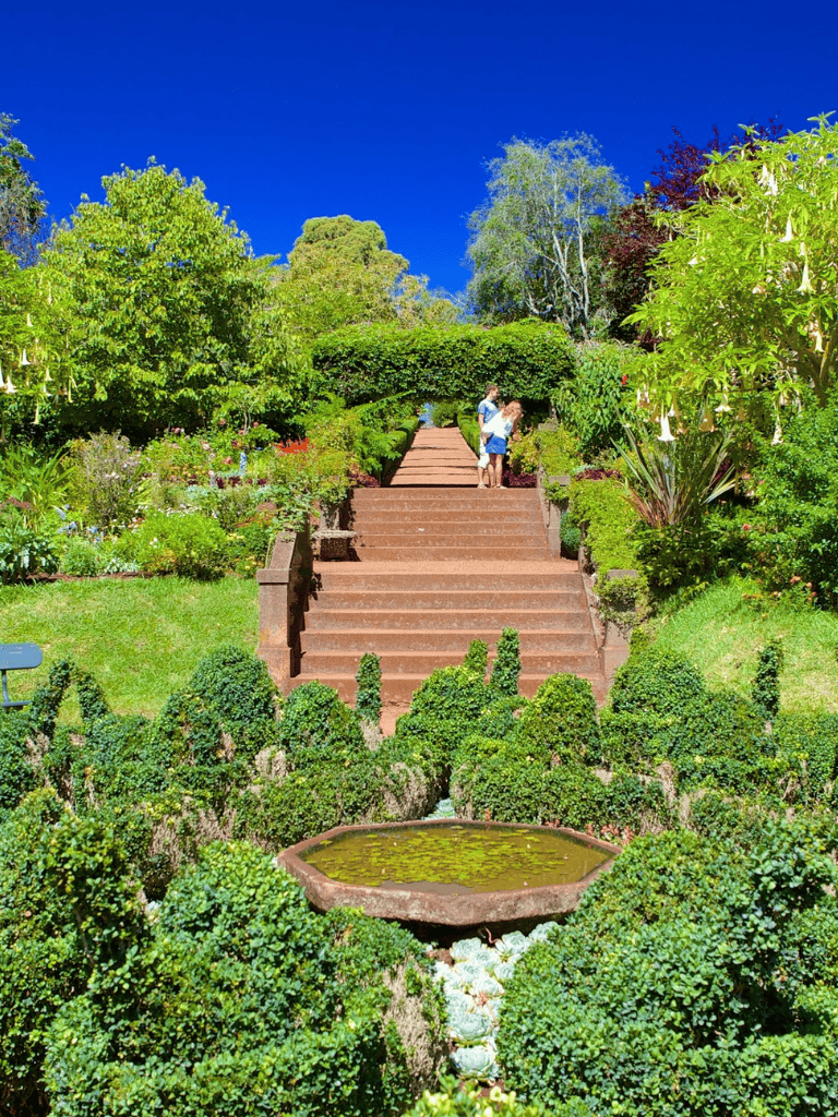 Lush garden with stairs and pond, vibrant greenery, bright blue sky, ideal for nature walking and relaxation.
