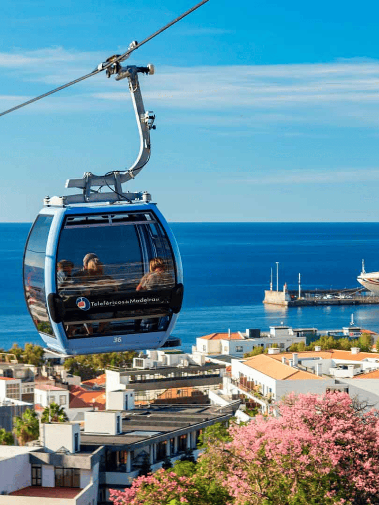 Cable car ride over coastal city with ocean views and pink flowering trees.