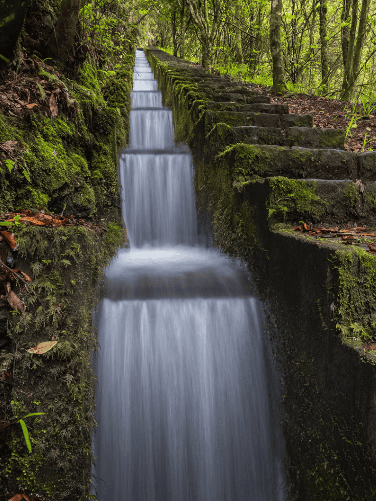 Serene woodland waterfall with moss-covered stone steps, showcasing nature's tranquility and guiding your journey.