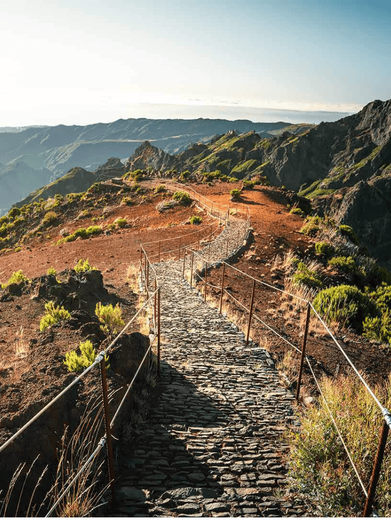 Rustic mountain trail with stone path and safety railings, scenic landscape for outdoor hiking adventure.