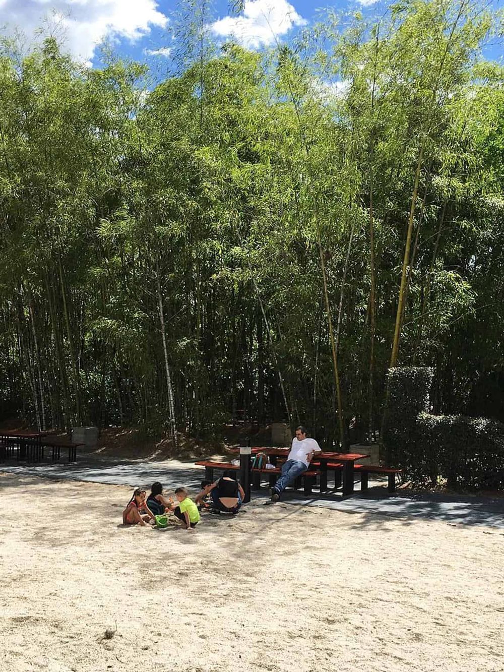 Lush green bamboo forest with people relaxing on picnic tables under sunny sky.