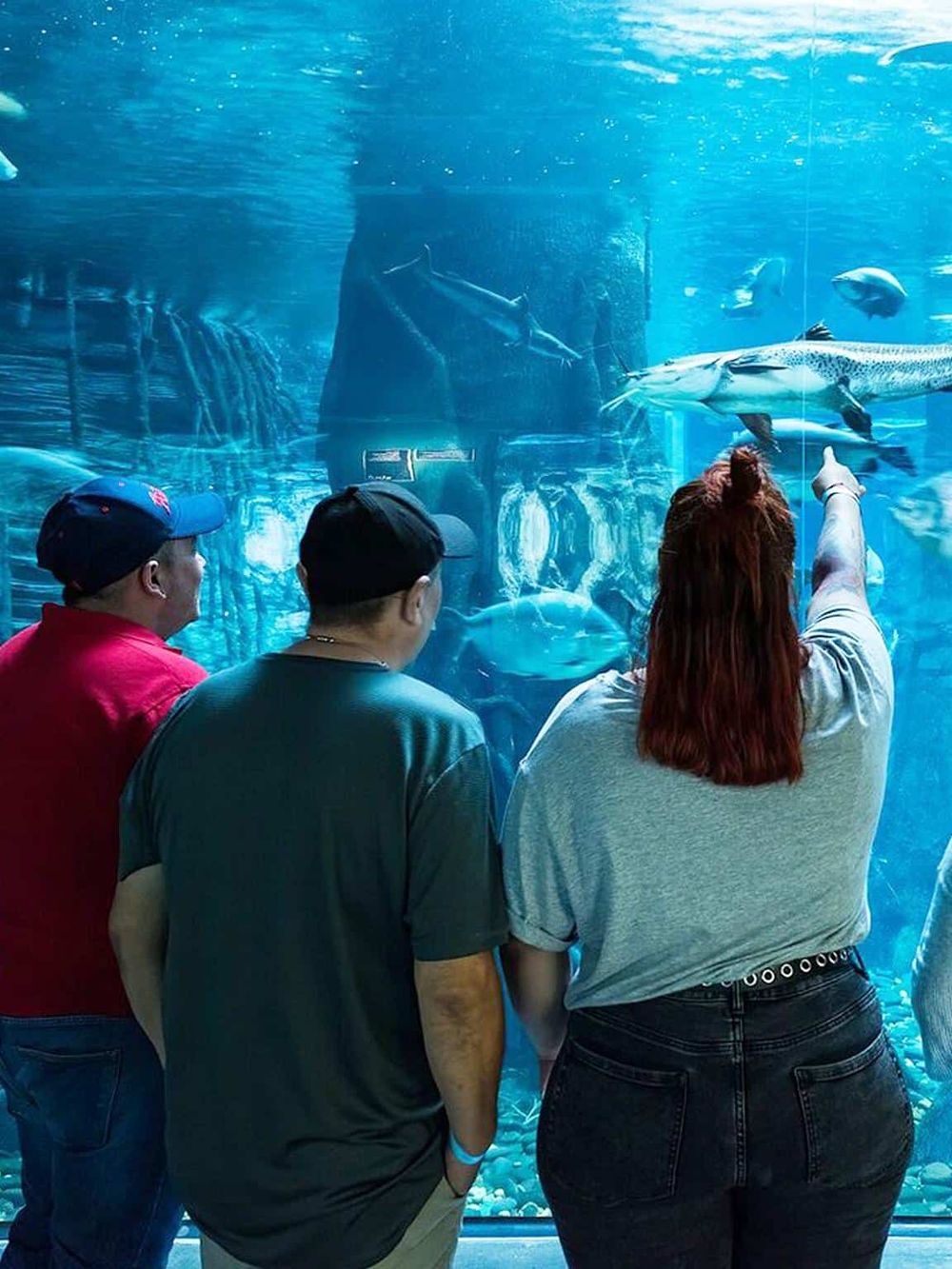 Colorful aquarium with visitors observing marine life displays, showcasing family-friendly entertainment and educational experiences.