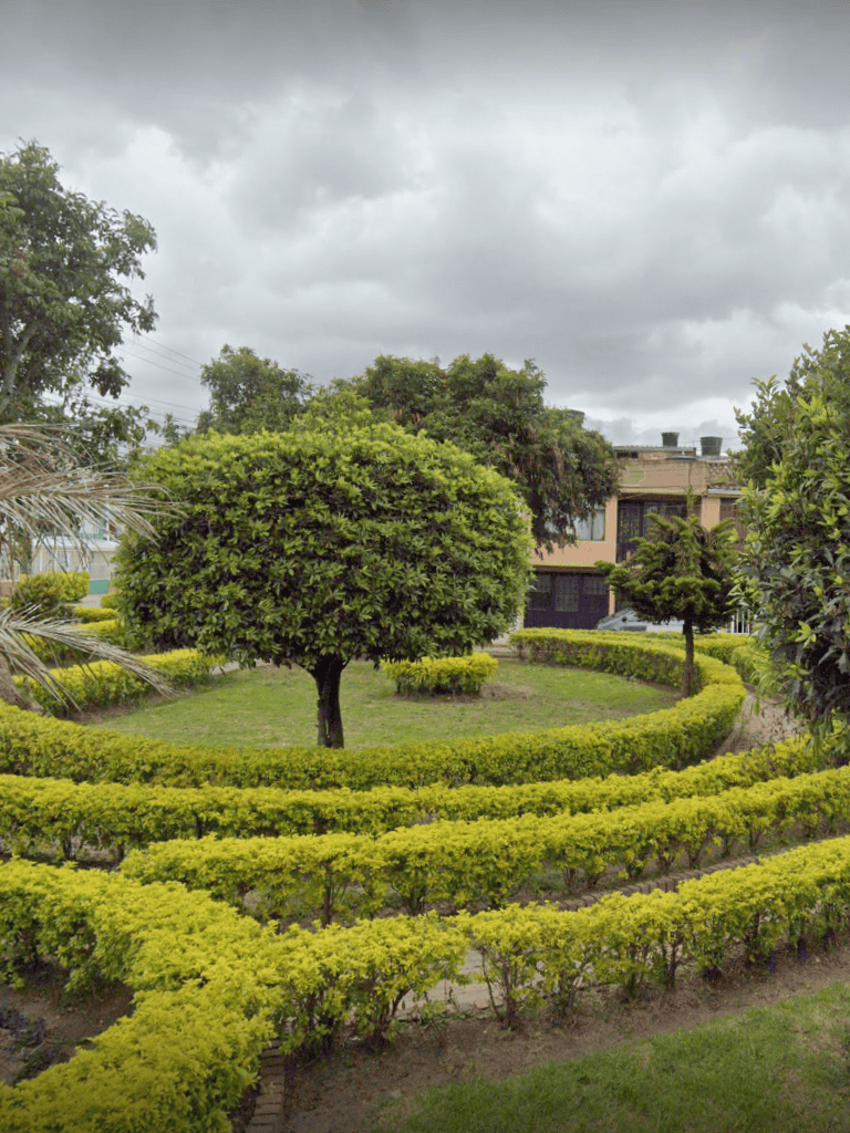 Lush landscaped garden with shaped trees and shrubs under cloudy sky near residential buildings.