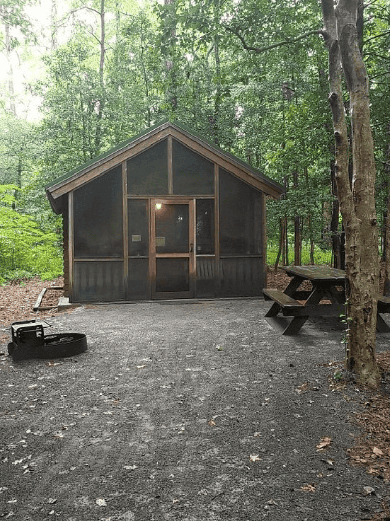 Cozy forest cabin with outdoor seating and fire pit, perfect for nature retreats and adventures.