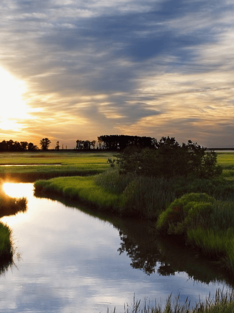 Serene sunset over lush wetlands with reflective water and vibrant greenery.