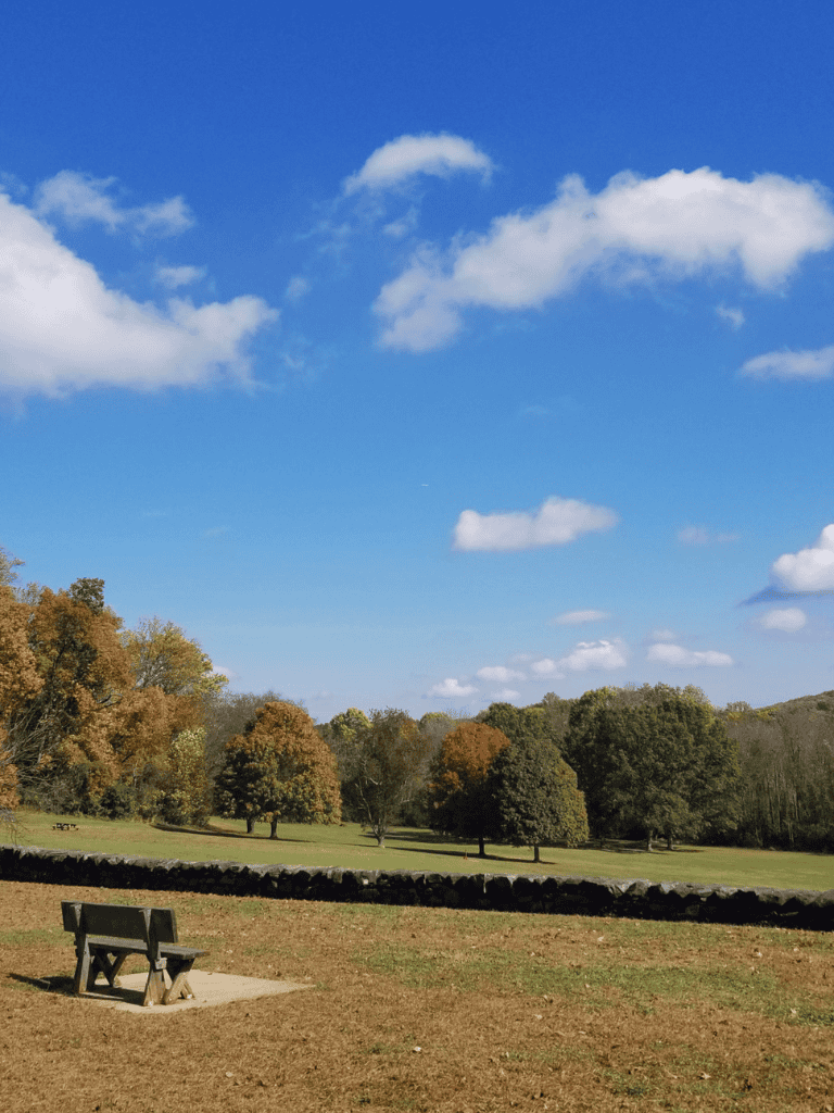 Tranquil park landscape with trees and a bench under a bright blue sky with clouds.