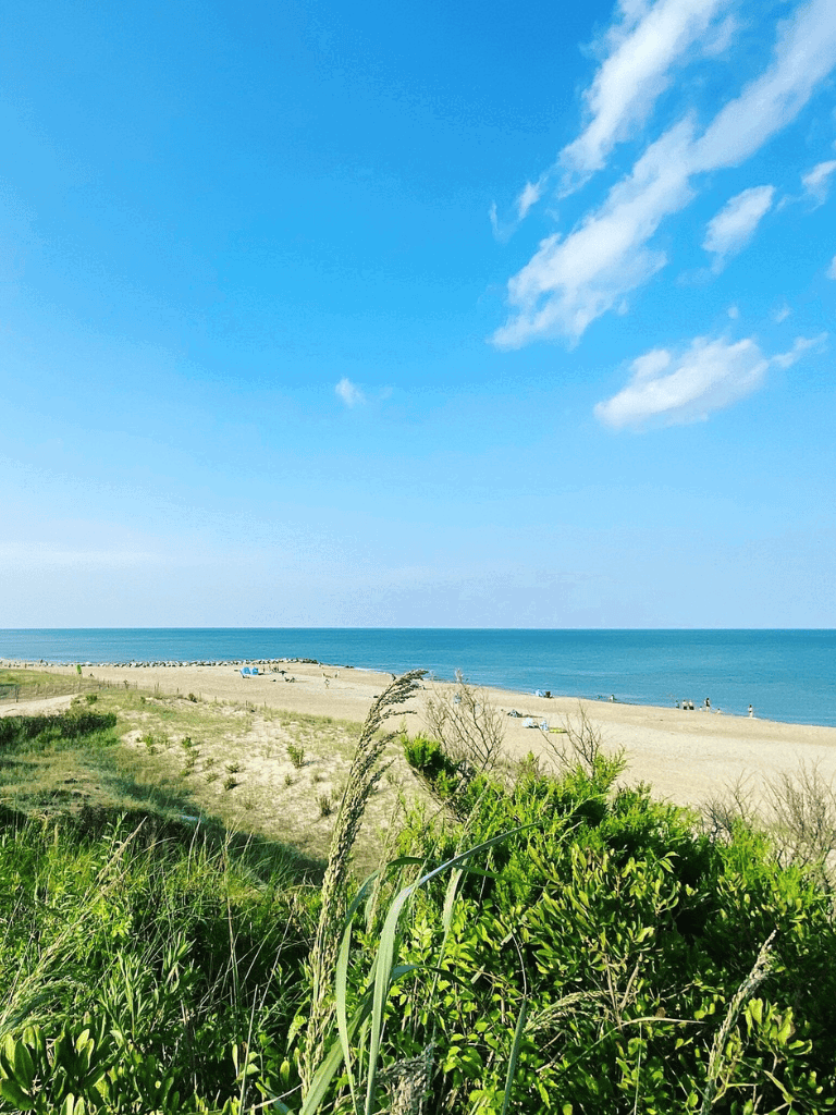 Seaside beach with blue sky, ocean, and green vegetation in the foreground, perfect for coastal landscape and travel photography.
