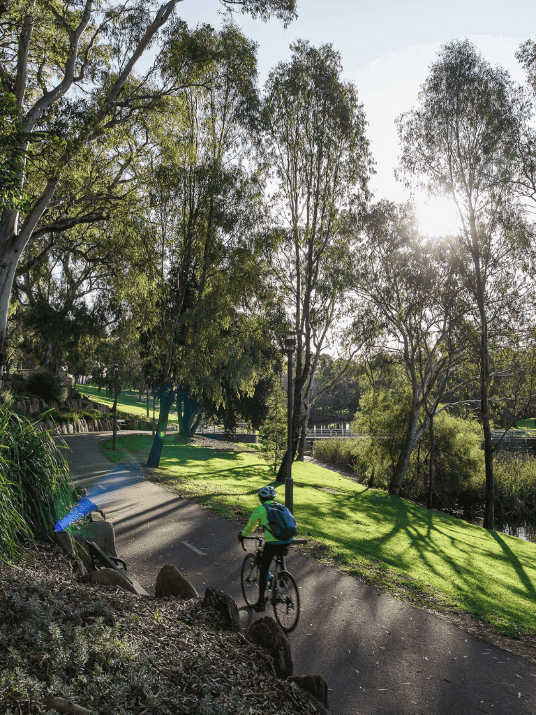 Bike riding in scenic park with lush greenery and trees.