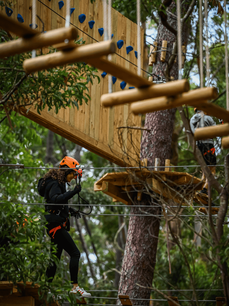 High ropes course adventure in lush forest at QuestForDirections outdoor activity center.