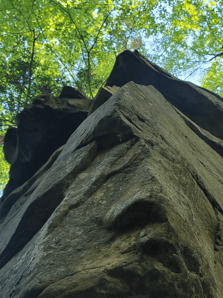 Ancient stone face sculpture in lush forest, nature-inspired art, outdoor adventure, cultural exploration, QuestForDirections.