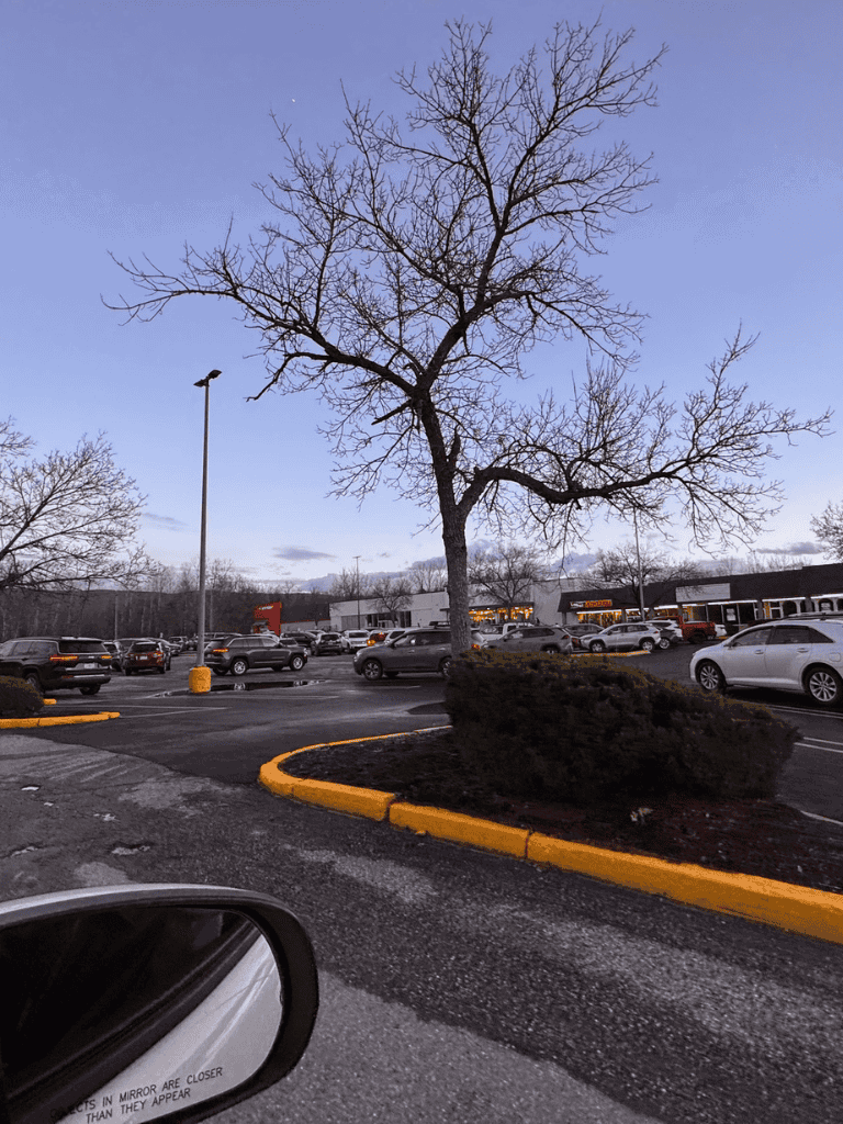 Parking lot with leafless tree and retail stores during dusk, QuestForDirections.