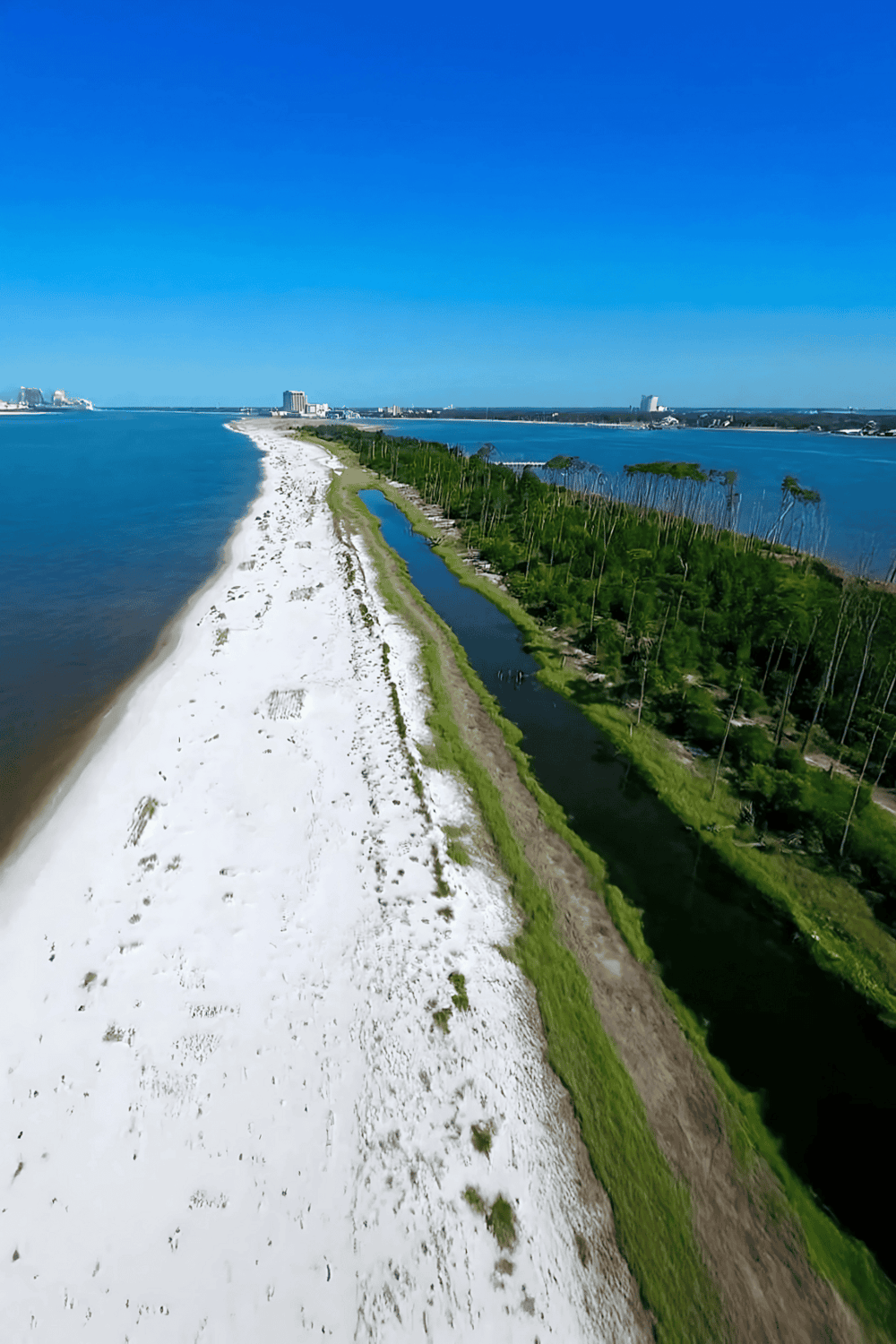 Seaside beach and river view with lush greenery, city skyline, and clear blue sky, ideal for travel and destination exploration.