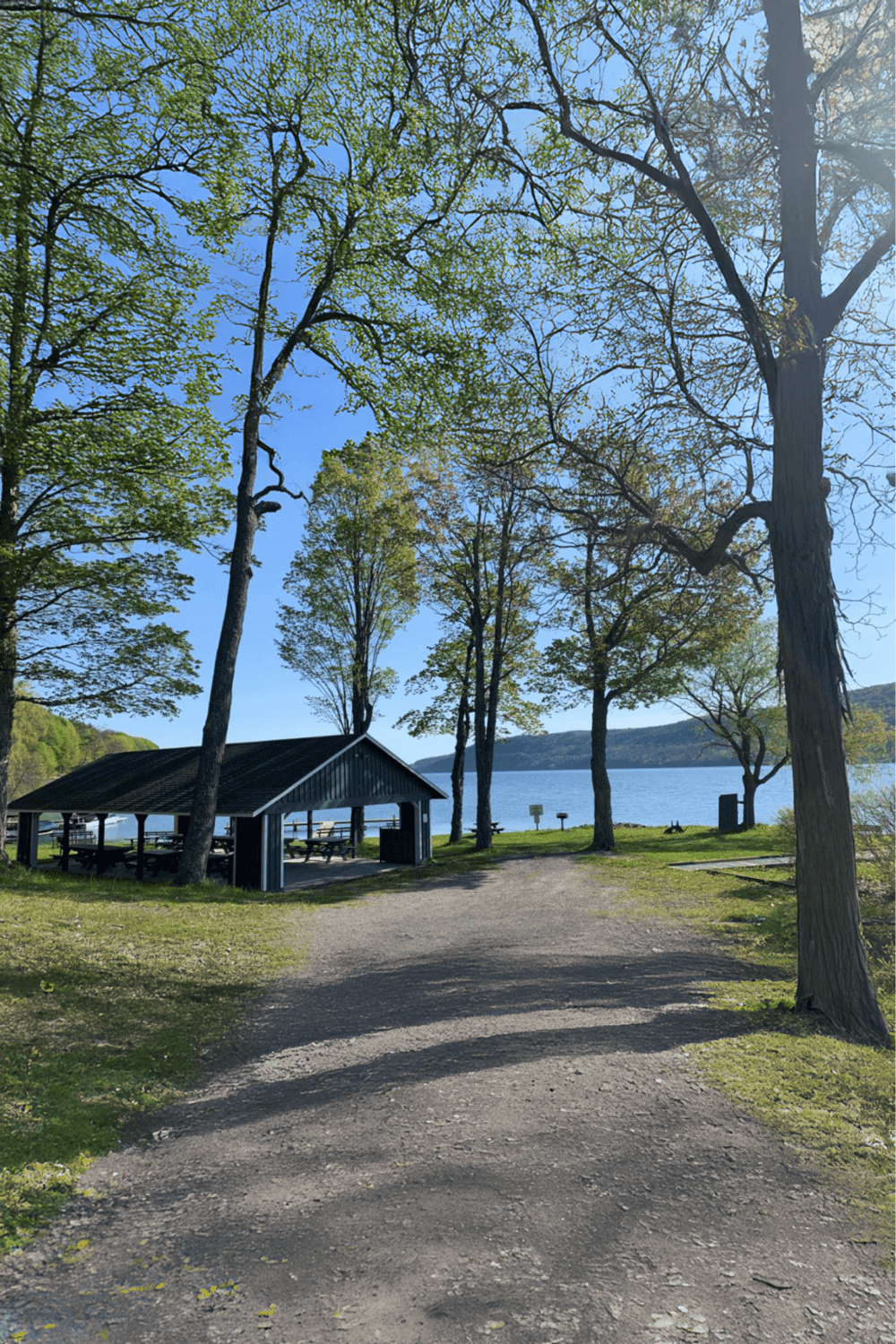 Tranquil lakeside park with picnic shelter, tall trees, and scenic views for outdoor activities.