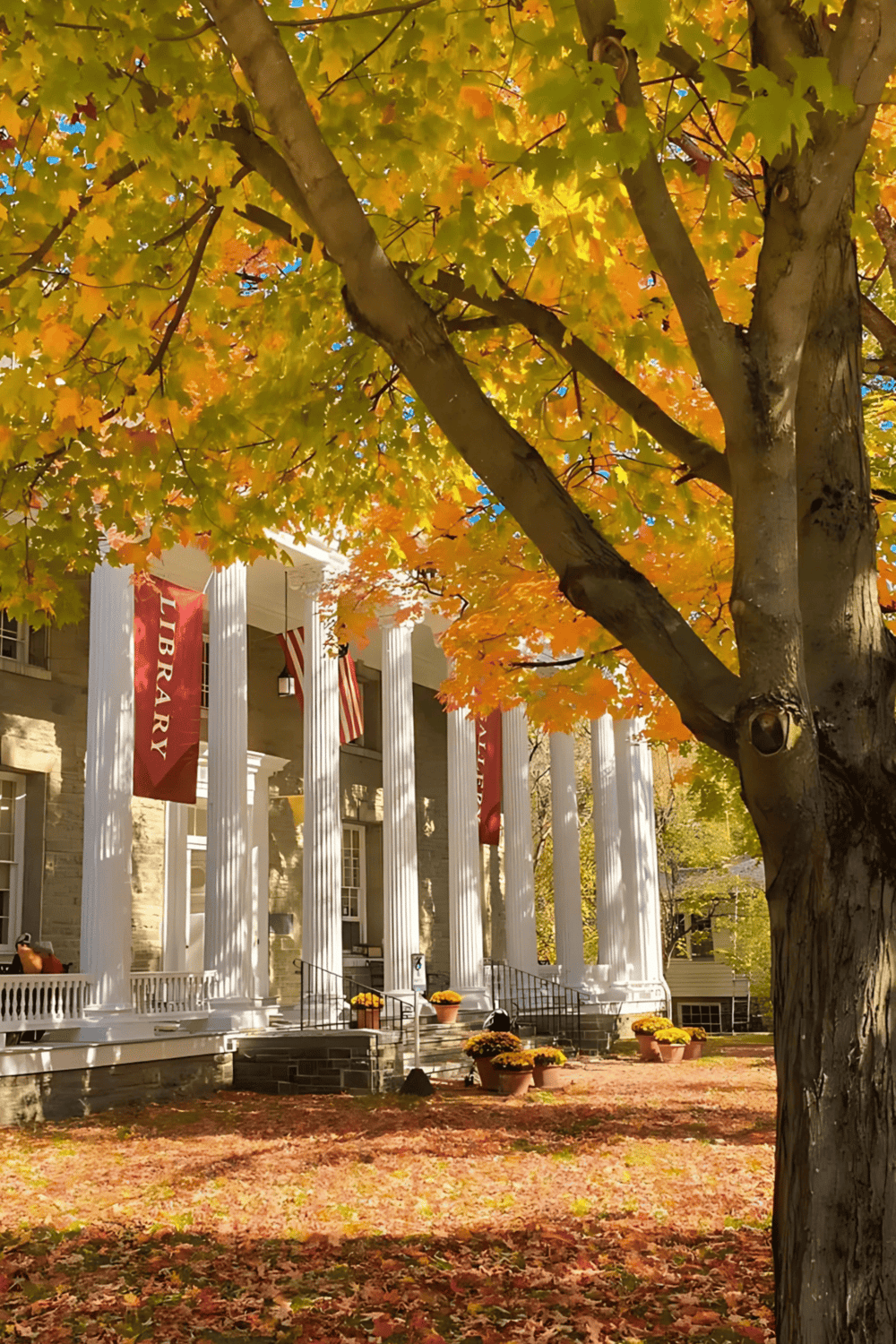 Colorful autumn leaves on a tree outside a historic library building with white columns.