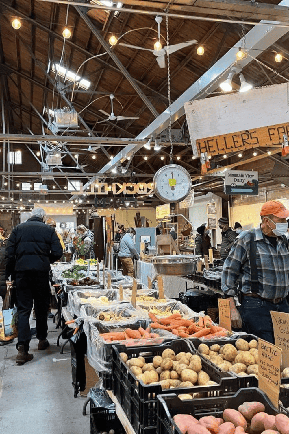 Fresh farm produce and vegetables at a local indoor farmers market.