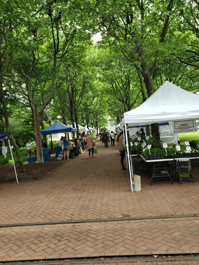 Fresh produce market at outdoor park with white and blue tents under green trees.
