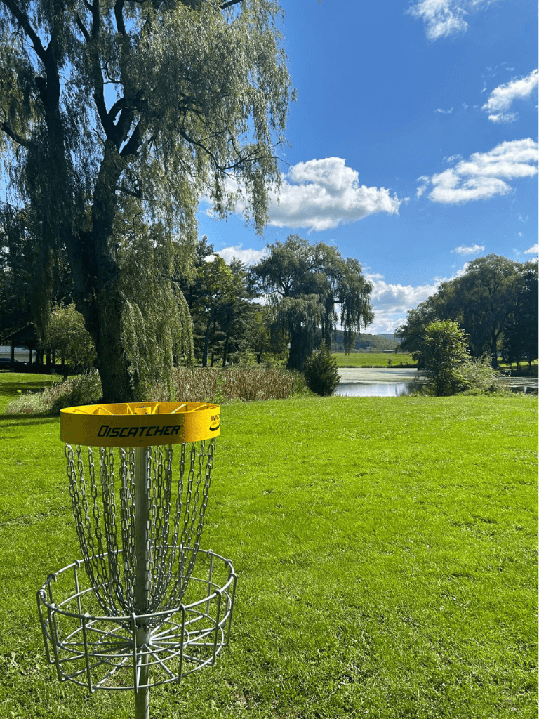 1. Disc Golf basket on lush green grass near trees and water under blue sky.