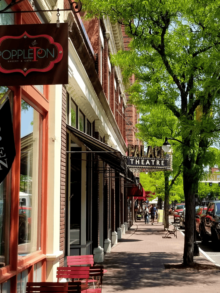 Charming downtown street with theaters, cafes, and lush trees enhancing local culture and community vibe.
