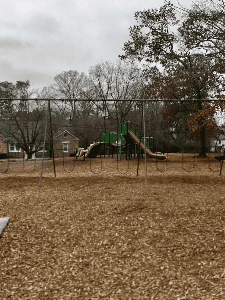 Colorful playground equipment at a local park on a cloudy autumn day.