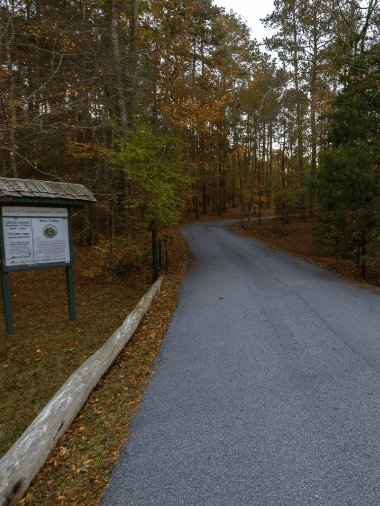 Quiet forest road leading to Alcorn Conservation Center in fall, surrounded by colorful trees and nature.
