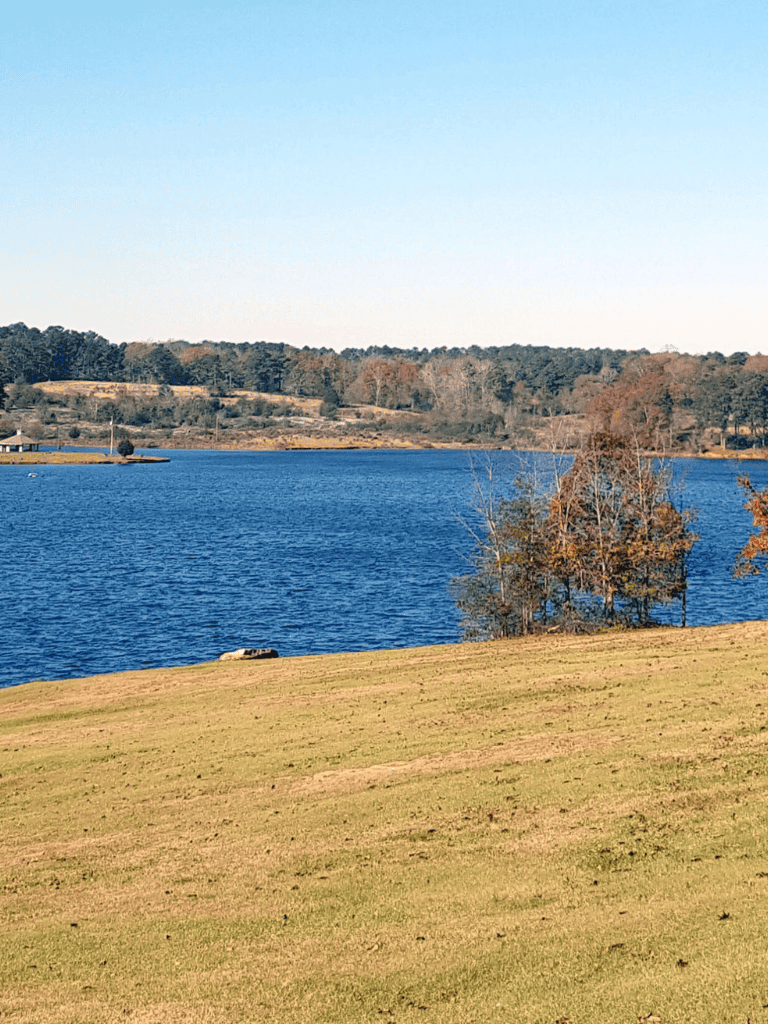 Serene lake with trees and hills, perfect for outdoor exploration and nature walks.
