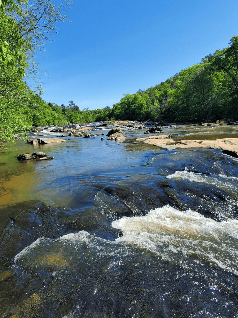 Serene river flowing through lush green forest under clear blue sky, outdoor scenic view.