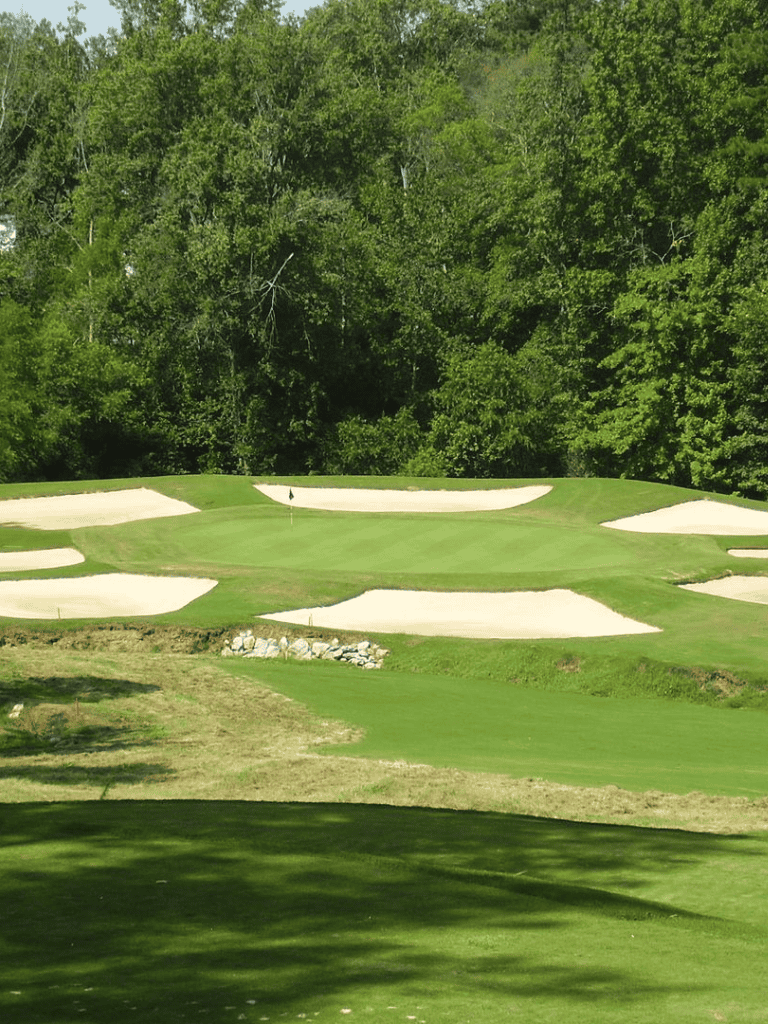 Pristine golf course with sand traps surrounded by lush green trees, perfect for golf enthusiasts.