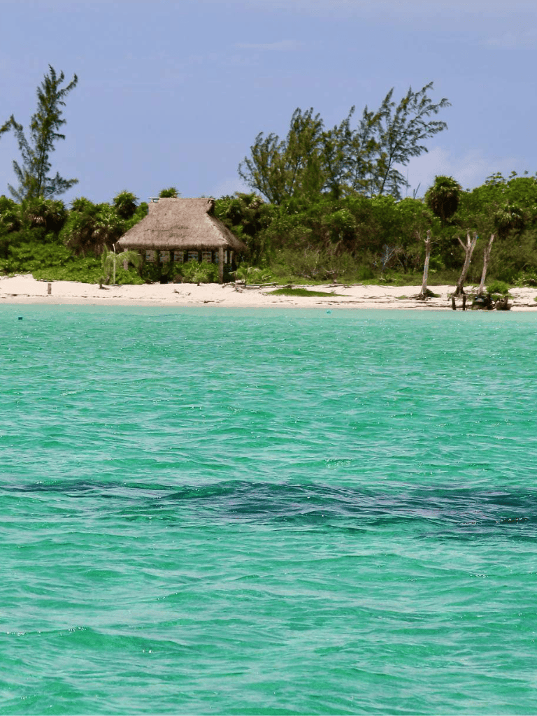 Tranquil tropical beach with thatched hut and turquoise water, perfect for seaside relaxation.