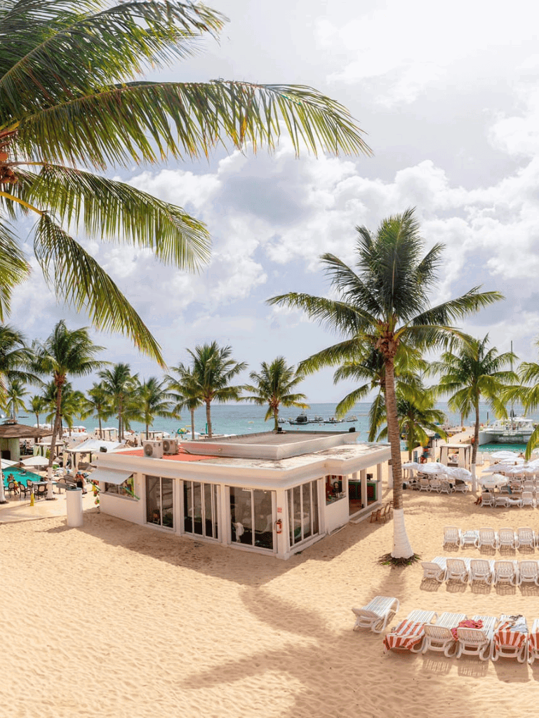 Beachside tropical resort with palm trees, ocean view, and relaxing lounge chairs.