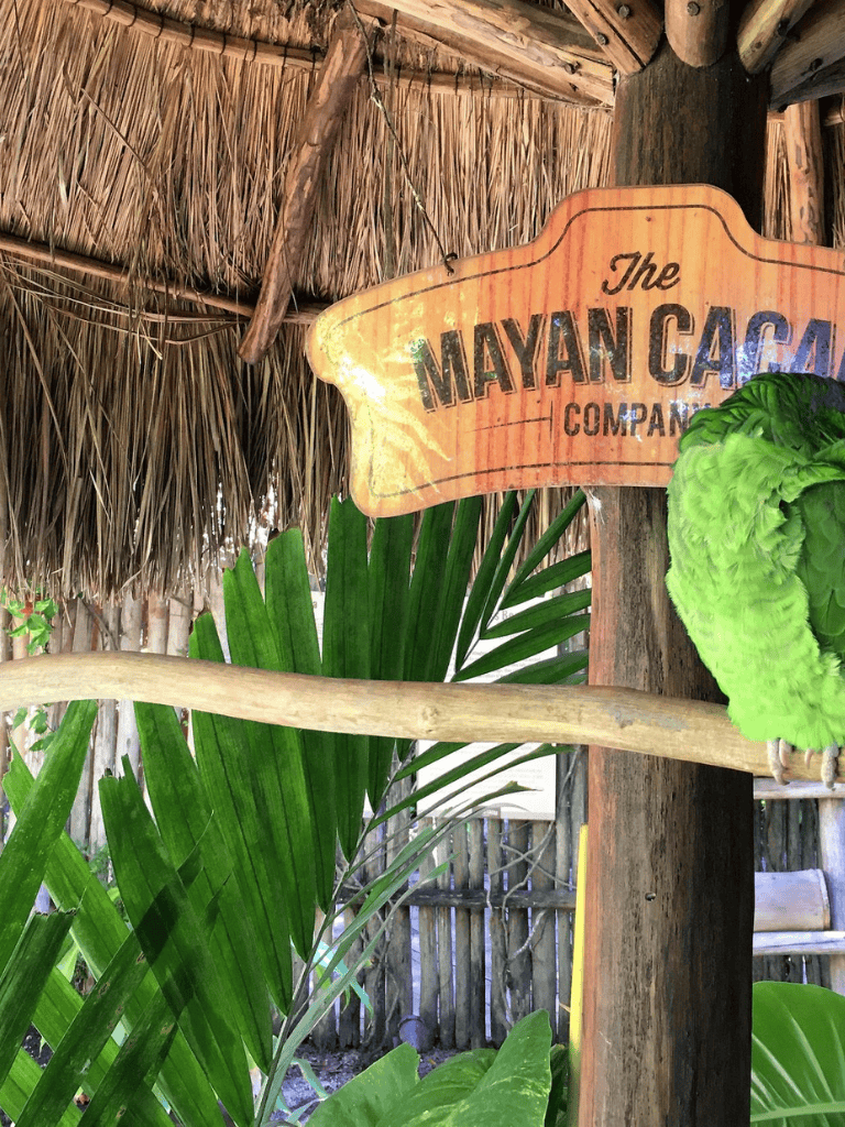 Mayan cacao company sign in lush tropical garden with green palm leaves and thatched roof.