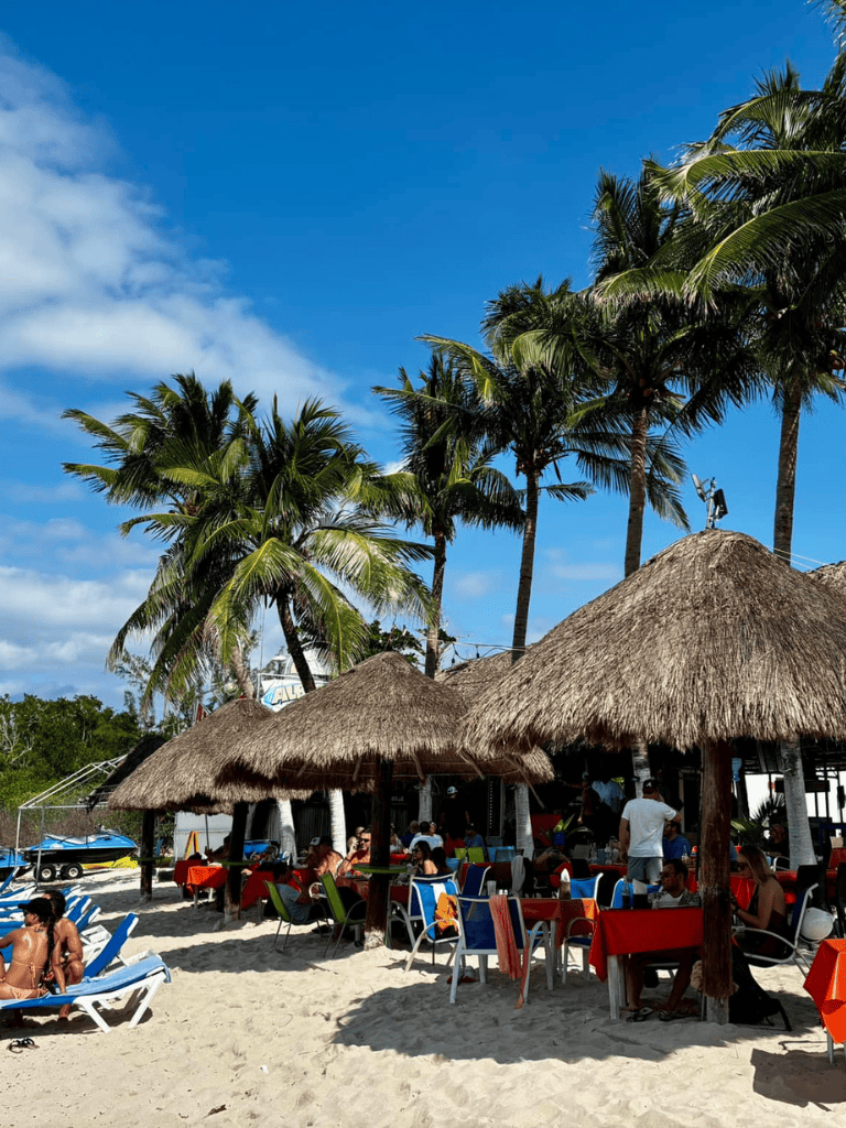 Relaxing beachside restaurant with thatched umbrellas, palm trees, and sunny skies, perfect for vacation dining.